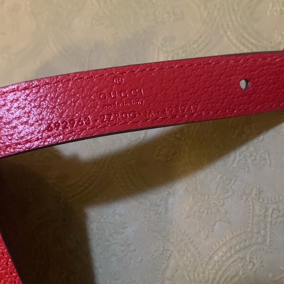 Gucci Pet Harness Red - Picture 5 of 8